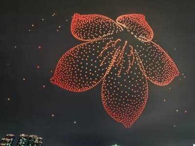 珠水焰火耀湾区！2026白鹅潭烟花盛宴璀璨绽放