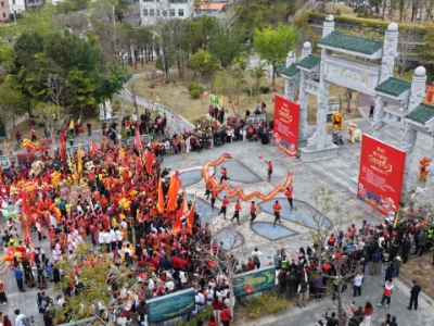 百狮腾跃闹龙门！今天，你被“年味”刷屏了吗?