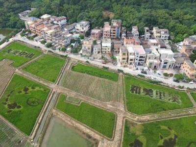 新春走基层｜中山最年轻村支书的治村日记