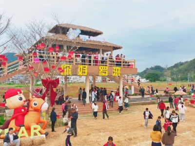 稻田听歌、云端俯瞰、百姓村晚……德庆新春乡村游火爆