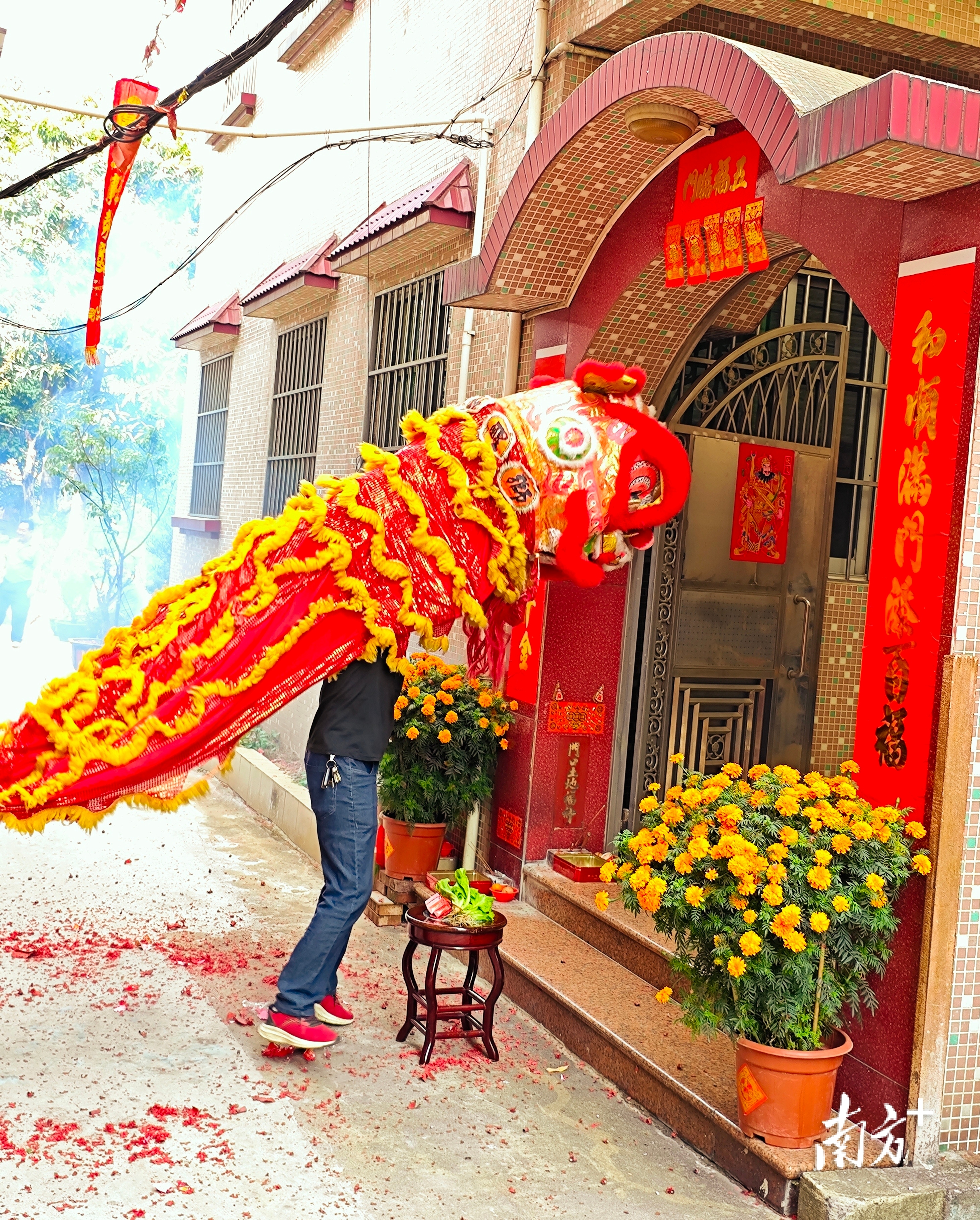 “狮过巷”年俗已传承百年。