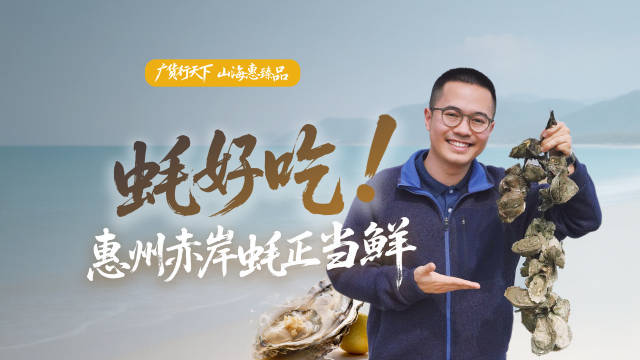“蚝”好吃！惠州赤岸蚝正当鲜｜广货行天下·山海惠臻品⑥
