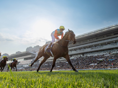 18连胜！马王“嘉应高升”创香港新纪录