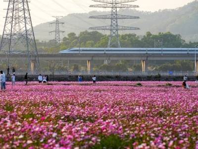 春运过半，广东跨区域人员流动量累计达5.86亿人次