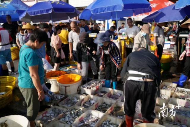 博贺天光墟的新鲜年货