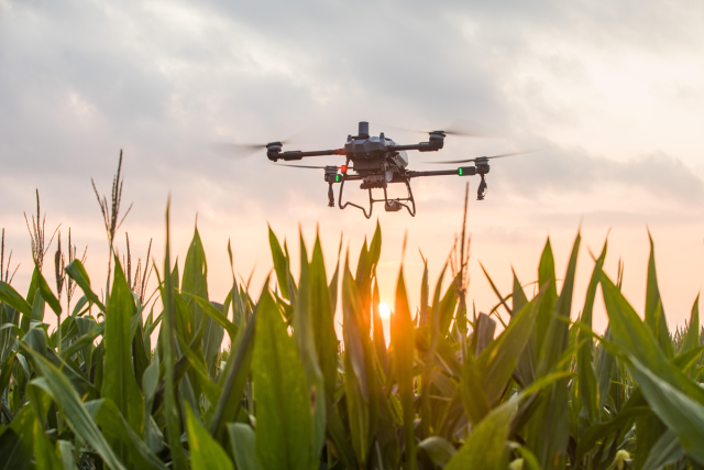 大疆农业无人机进行植保作业。