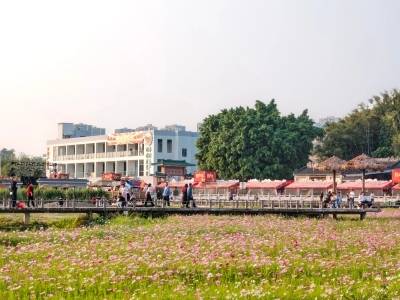 新春走基层｜从四个切面，看中山“春天里的百千万”