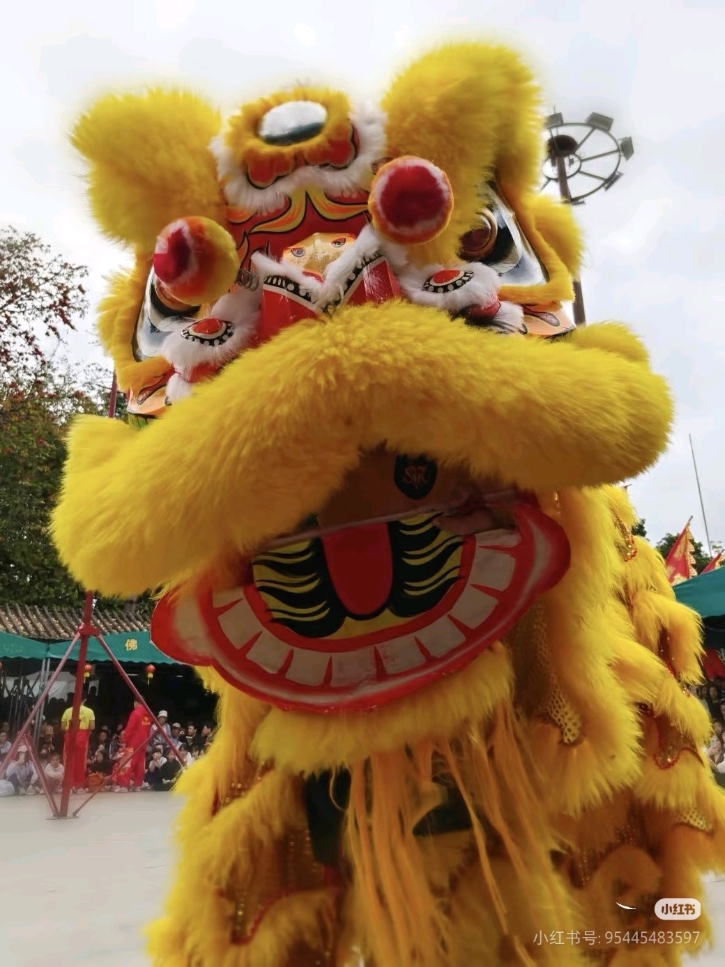 网友镜头中的祖庙舞狮。