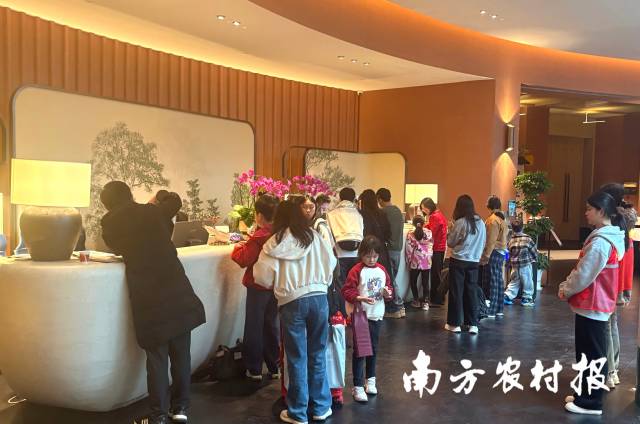游客排队办理入住。