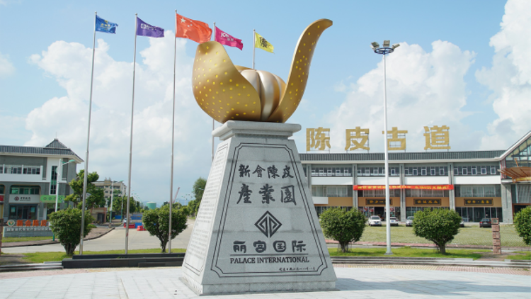 丽宫侨宝受邀出席广东“新春第一会”，系江门唯一连续四届参会农业企业