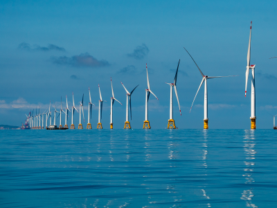 广东新春第一会“两业协同”新考卷，阳江如何作答？丨高质量发展阳江行①