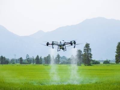 评论丨从“两业协同”感悟广东乡村振兴的三重境界