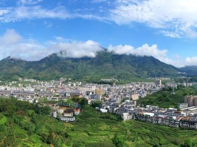 潮安区委书记曹宇波：以“三变三新”推动“两业”协同发展