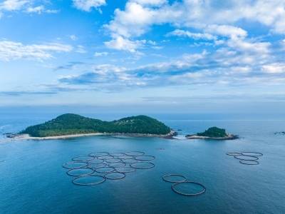 阳西：建设海洋经济强县，打造健康食品名城