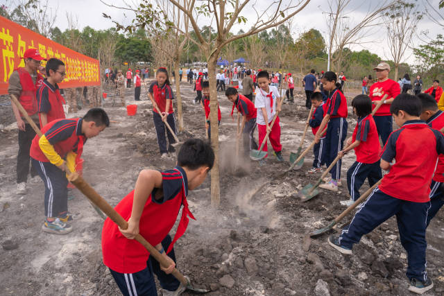 中小学生参与义务植树活动  