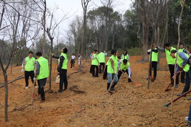 韶关市2026年“绿美韶关生态建设”新春植树活动