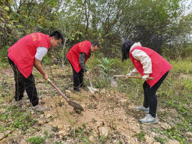 东莞市银瓶山森林公园组织干部职工开展义务植树活动  