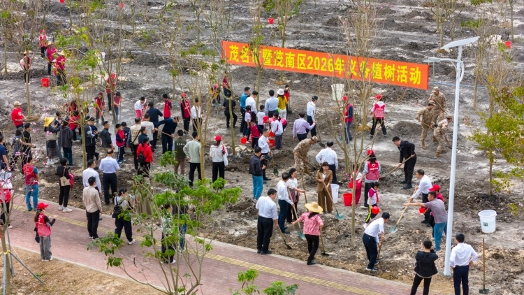 广东十部门联动部署，南粤新春植绿忙