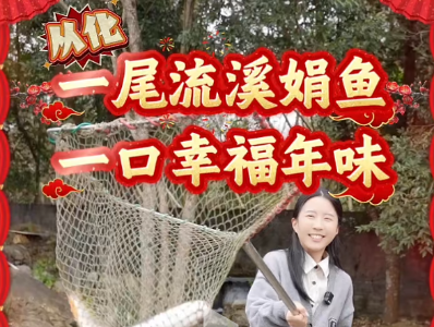 年味大使荐广货 | 祝可为：从化流溪娟鱼，年鱼中的热门“鱼”选