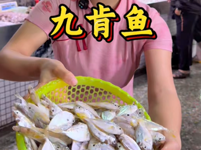 年味大使荐广货 | 芳芳：野生九肯鱼，煮汤鲜甜营养