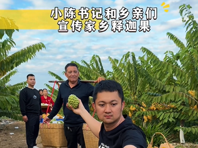 年味大使荐广货 | 陈格威：​流溪孕珍果，从化释迦甜