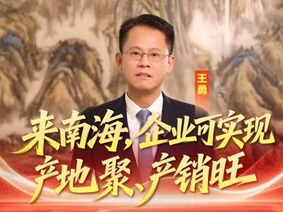视频｜王勇：来南海，企业可实现产地聚、产销旺