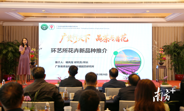 省农科院环境园艺研究所所长杨凤玺作花卉新品种推介。