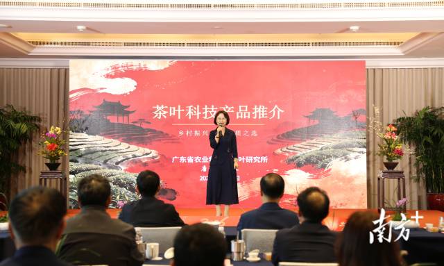 省农科院茶叶研究所所长唐劲驰作茶产品推介。