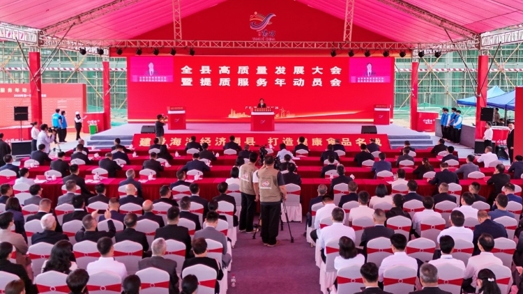 阳西召开全县高质量发展大会暨提质服务年动员会
