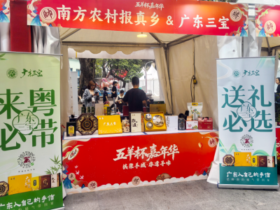 “五羊杯”棋王争霸启幕，广东三宝香飘农文旅体非遗嘉年华