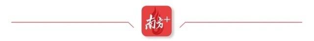 南方+  南方农村报 杨智明 制图