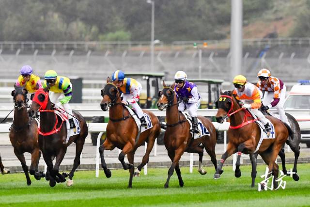 2019年3月23日，香港赛马会与广州市从化区政府合作举办的首场纯演示性速度马术比赛在从化马场举行。 南方+记者 李细华 摄