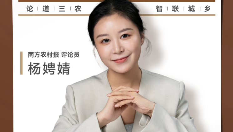 兴农评 | 莫让烟花爆竹声，盖过安全警钟鸣