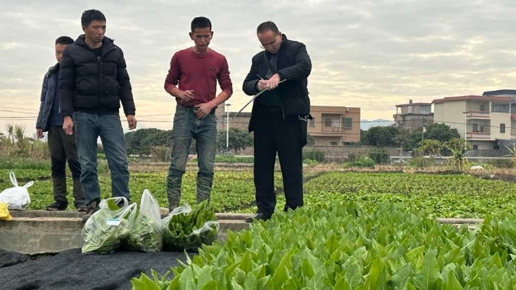 新规落地带证上市更安心！从化全力保障春节农产品安全