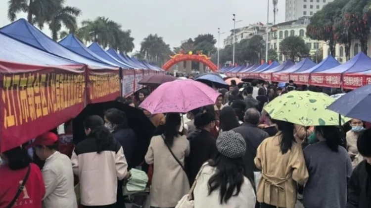 新会—宁明举办2026年粤桂劳务协作招聘会