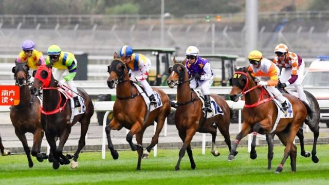 广州：“马城”归来