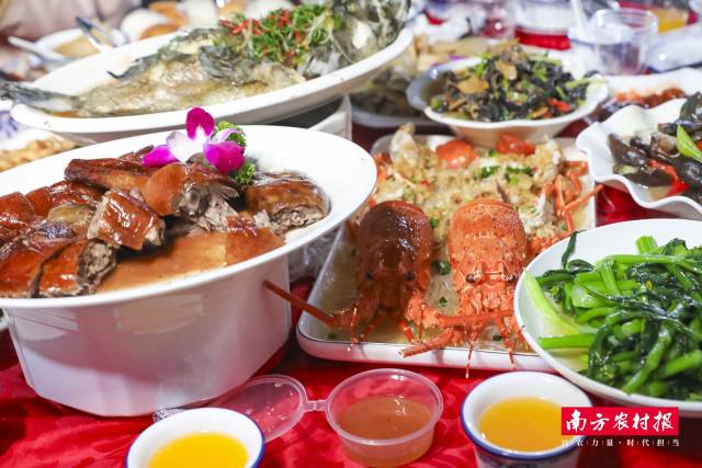 南方农村报 吴秒衡 拍摄