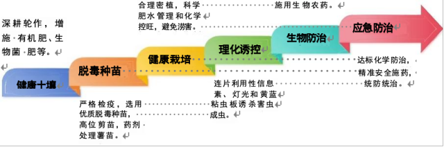 南方农村报 王惠 绘图