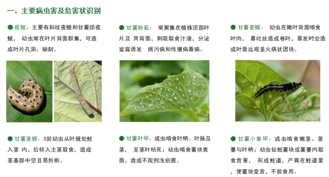 南方农村报 王惠 绘图