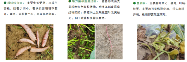 南方农村报 王惠 绘图