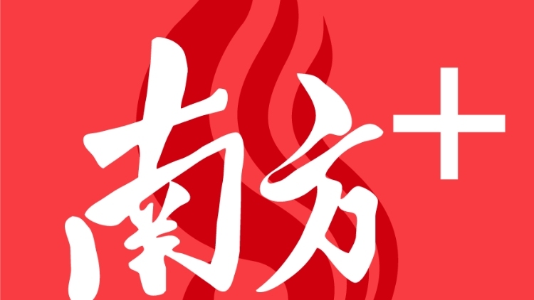 机插水稻育秧技术措施