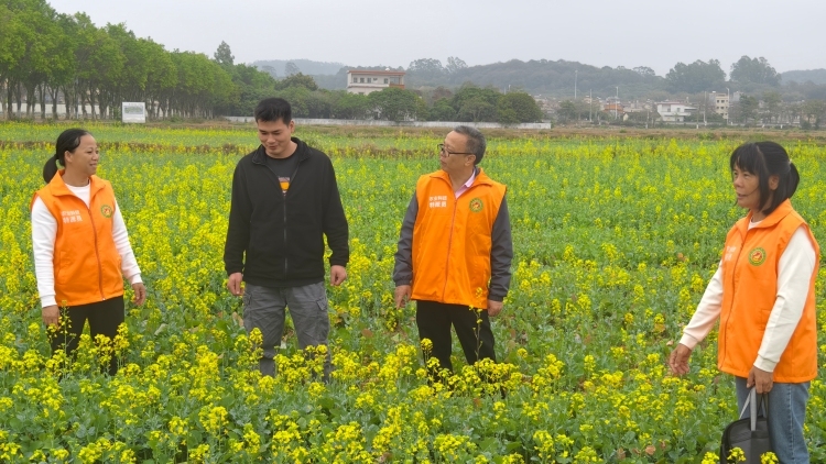科技赋能春耕，从化农业科技特派员一线护航