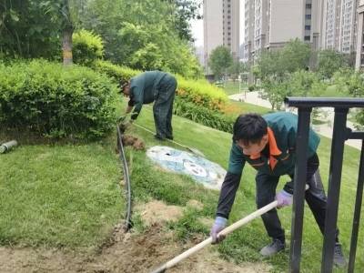 碧桂园服务业绩预告：去年营收超480亿元