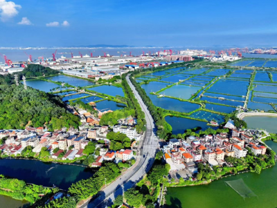 视频｜龙穴街道党工委书记曾胜中：对标国际一流临港经济区，实现临港产业量质齐升