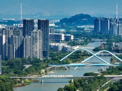 全是干货！一组海报快速解码南沙新春第一会