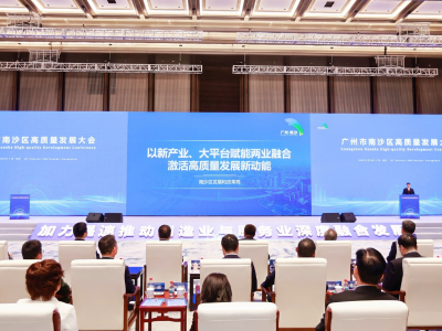 南沙区副区长、区发改局局长杨帆：以新产业、大平台赋能两业融合发展