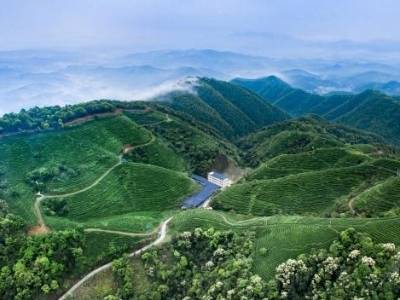 建设22个以上镇村发展片区组团！河源今年“三农”工作这样干