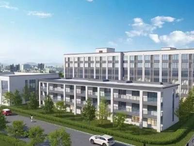 问海索氢，全国首创项目为何“氢”定阳江？｜高质量发展阳江行⑤