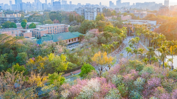 紫荆花下逛集市，春风有信迎优品！“广货行天下·粤牧优品”文明集市即将登陆华农！
