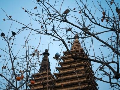 穆亦：冬日摄塔记